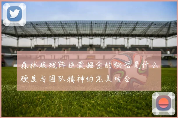 森林狼残阵逆袭掘金的秘密是什么硬度与团队精神的完美结合