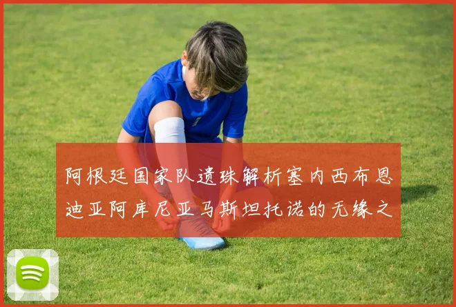 阿根廷国家队遗珠解析塞内西布恩迪亚阿库尼亚马斯坦托诺的无缘之路