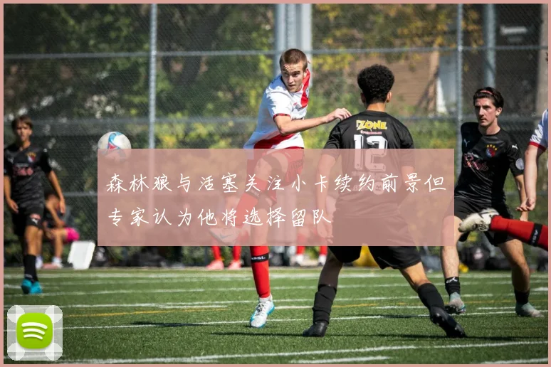 森林狼与活塞关注小卡续约前景但专家认为他将选择留队