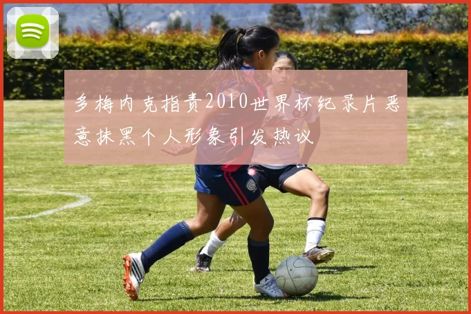 多梅内克指责2010世界杯纪录片恶意抹黑个人形象引发热议