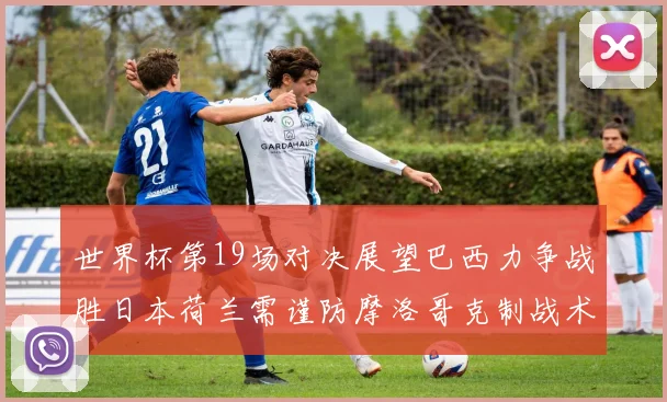 世界杯第19场对决展望巴西力争战胜日本荷兰需谨防摩洛哥克制战术