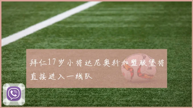拜仁17岁小将达尼奥科加盟狼堡将直接进入一线队