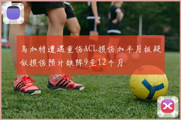 乌加特遭遇重伤ACL损伤加半月板疑似损伤预计缺阵9至12个月